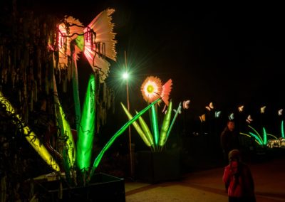 City of Lights - Habitats -  Lantern Company - Liverpool - photo credits: Mark Loudon - Mark McNulty